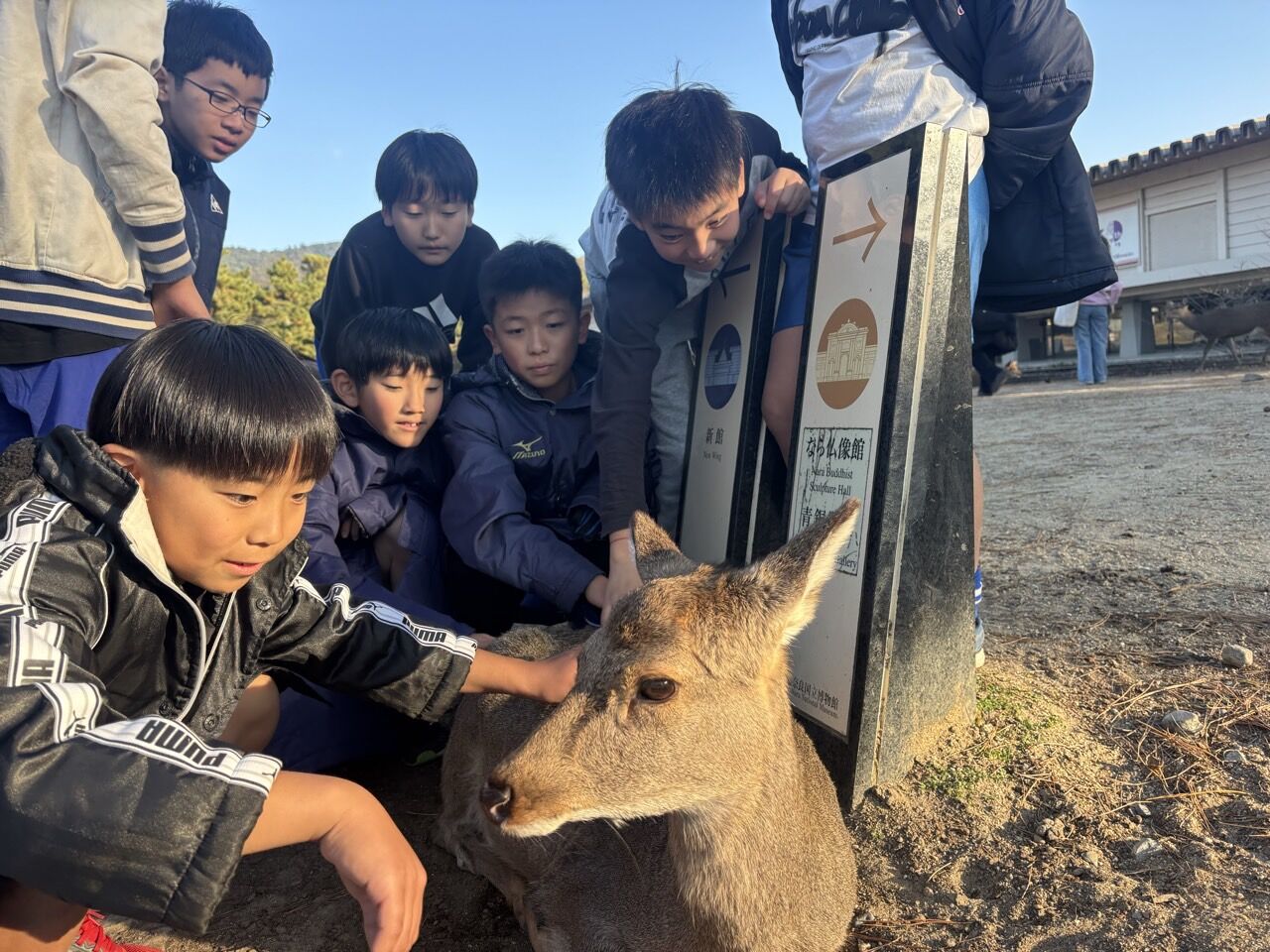 ¥×¥é¥¤¥Þ¥ê¡¼¥«¥é¡¼FC-¥¹¥Þ¥¤¥ë¥«¥Ã¥×2025ǯ12·î6Æü7Æü-73993253538