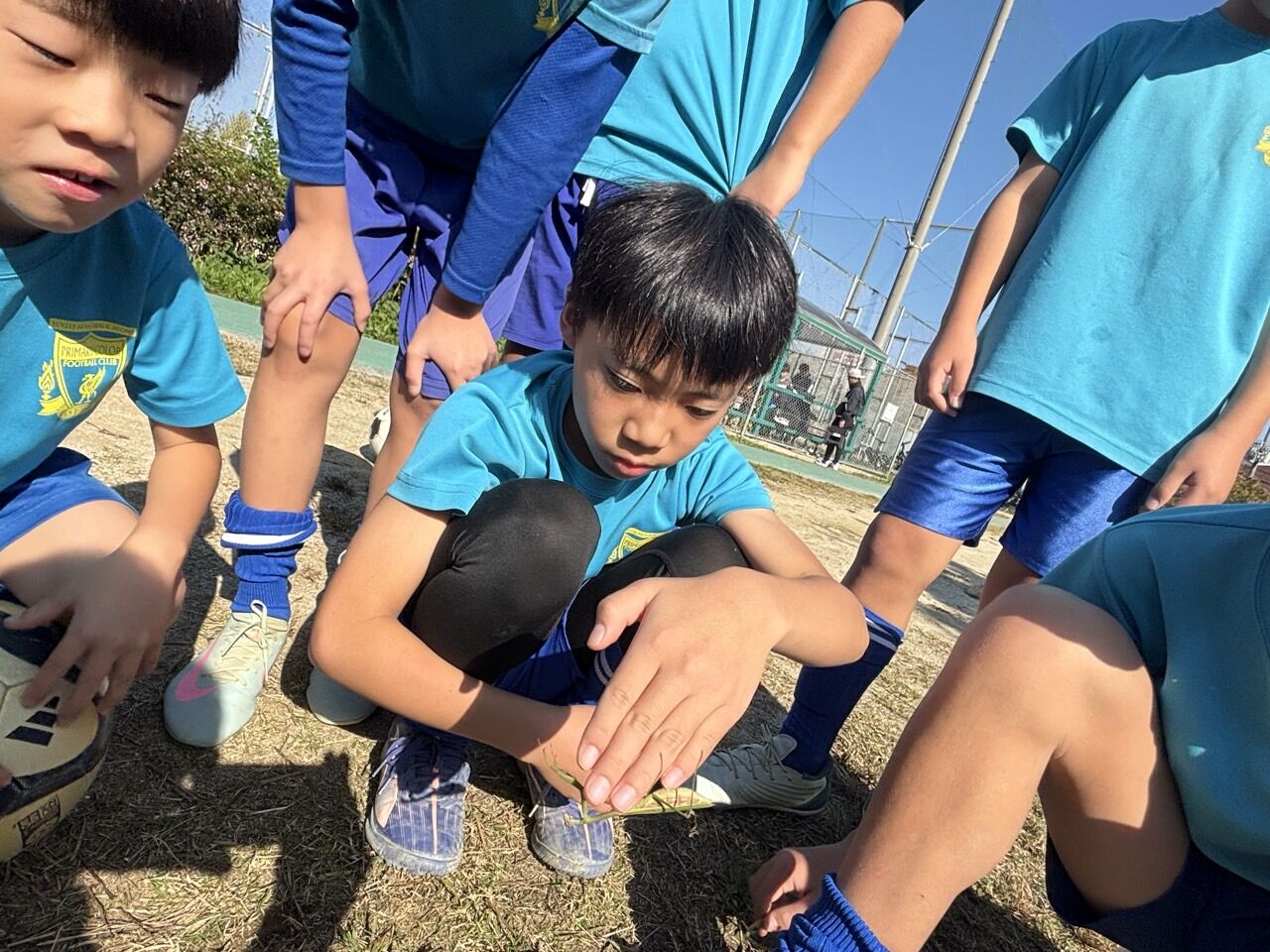 6_hbcUd018svcye54y4lizevz_us7scg