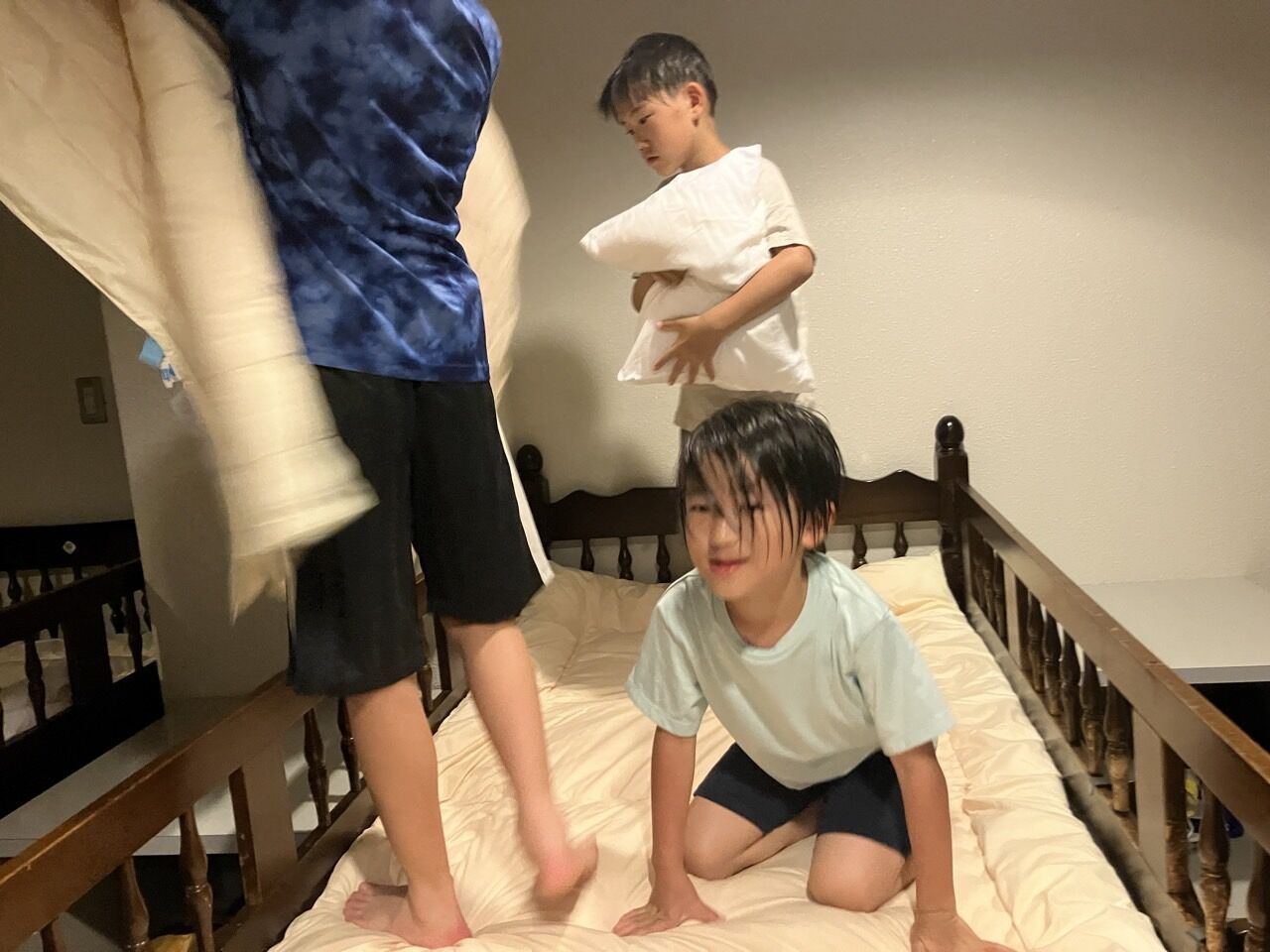 ¥×¥é¥¤¥Þ¥ê¡¼¥«¥é¡¼FC-Á´¤Æ¤Î¼Ì¿¿-61384588145