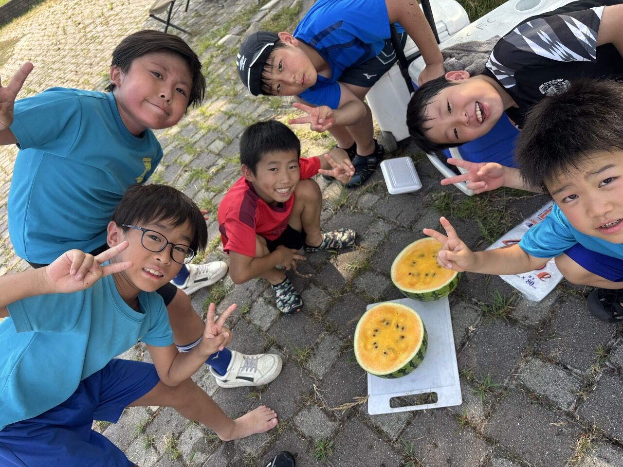 ץ饤ޥ꡼顼FC-ƹɭ2025ǯ82324-71439210860