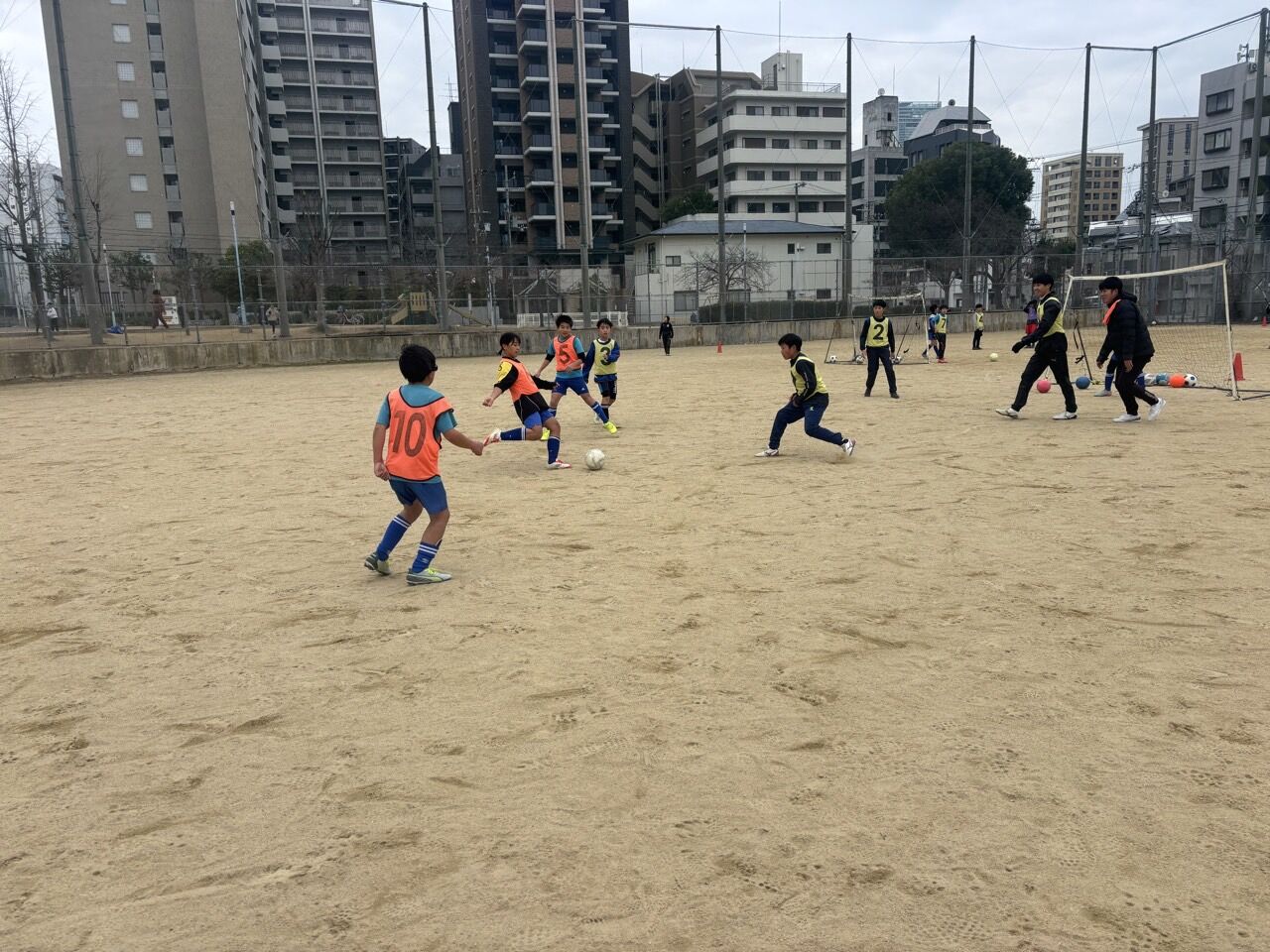 �ץ饤�ޥ꡼���顼FC-2026ǯ�齳��-74656758868