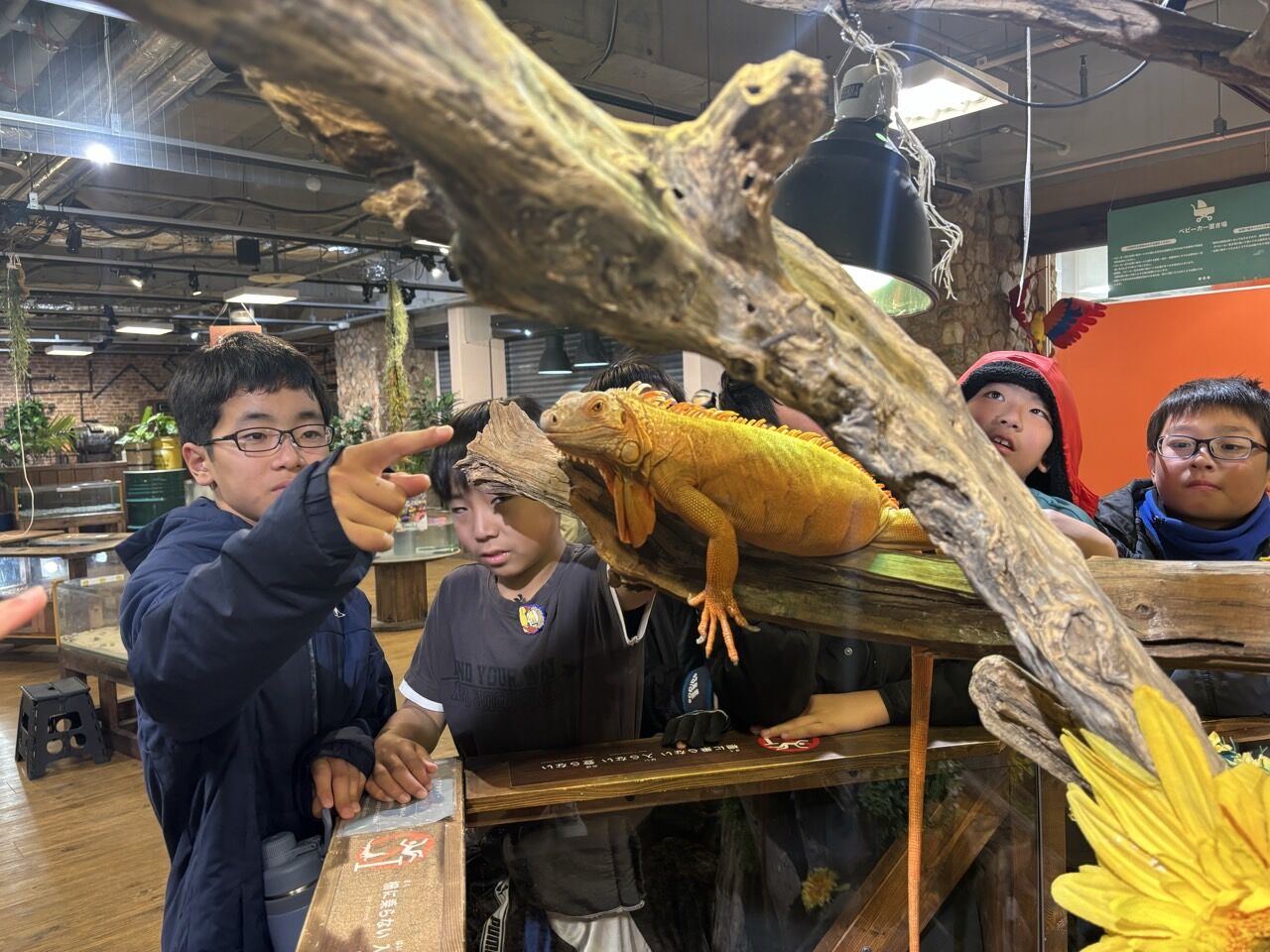 ¥×¥é¥¤¥Þ¥ê¡¼¥«¥é¡¼FC-¥¹¥Þ¥¤¥ë¥«¥Ã¥×2025ǯ12·î6Æü7Æü-73971455552