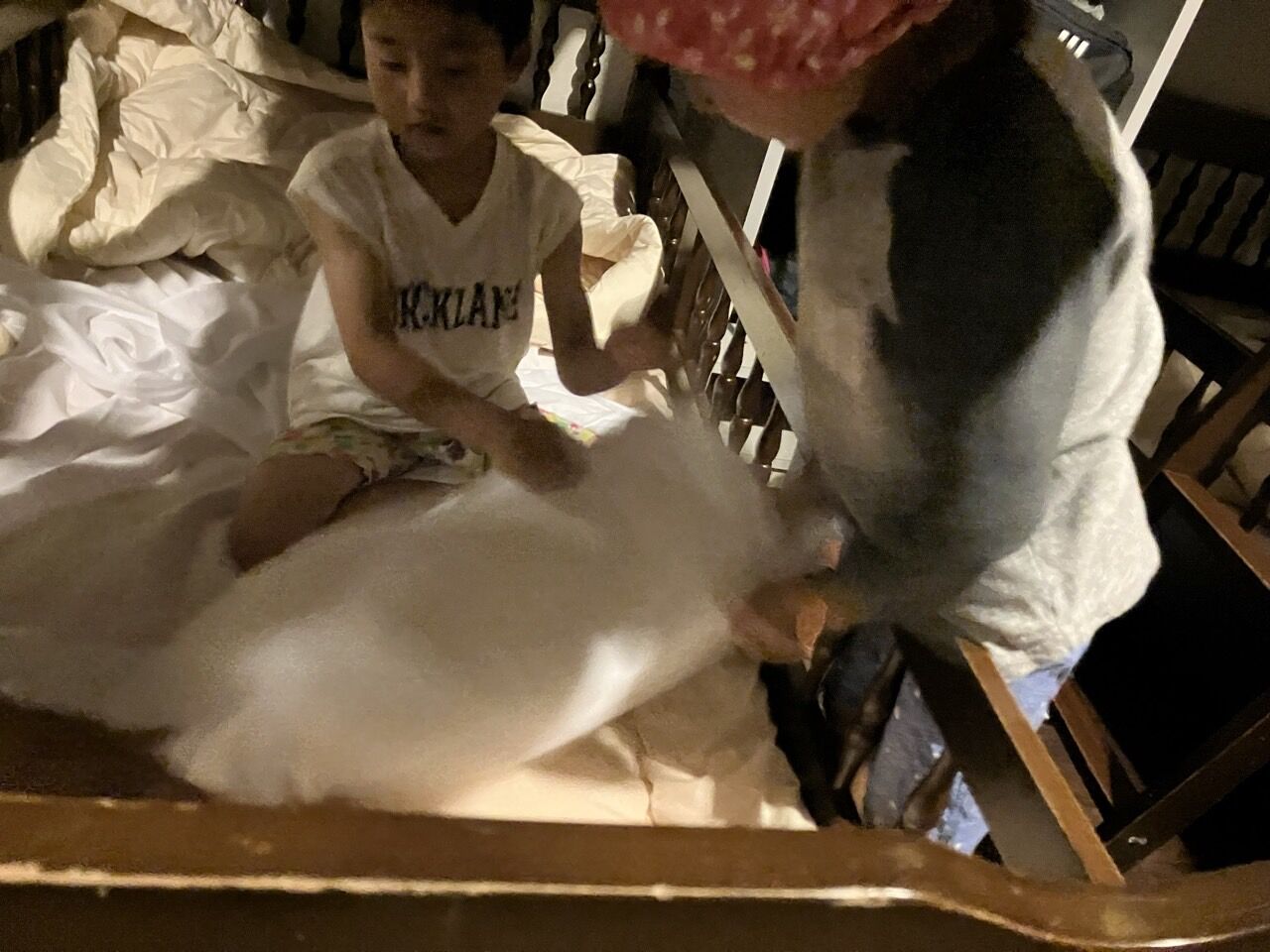 ¥×¥é¥¤¥Þ¥ê¡¼¥«¥é¡¼FC-2024ǯ²Æ¹ç½É¢-61384588149