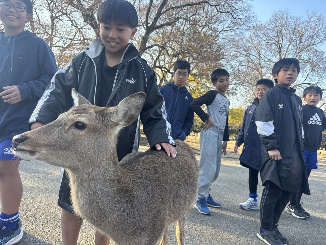 ¥×¥é¥¤¥Þ¥ê¡¼¥«¥é¡¼FC-¥¹¥Þ¥¤¥ë¥«¥Ã¥×2025ǯ12·î6Æü7Æü-73993070674