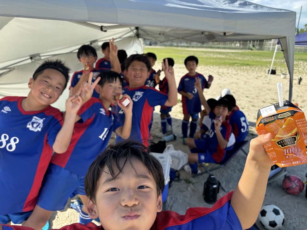 6_4a7Ud018svc117jvklexx9uz_us7scg