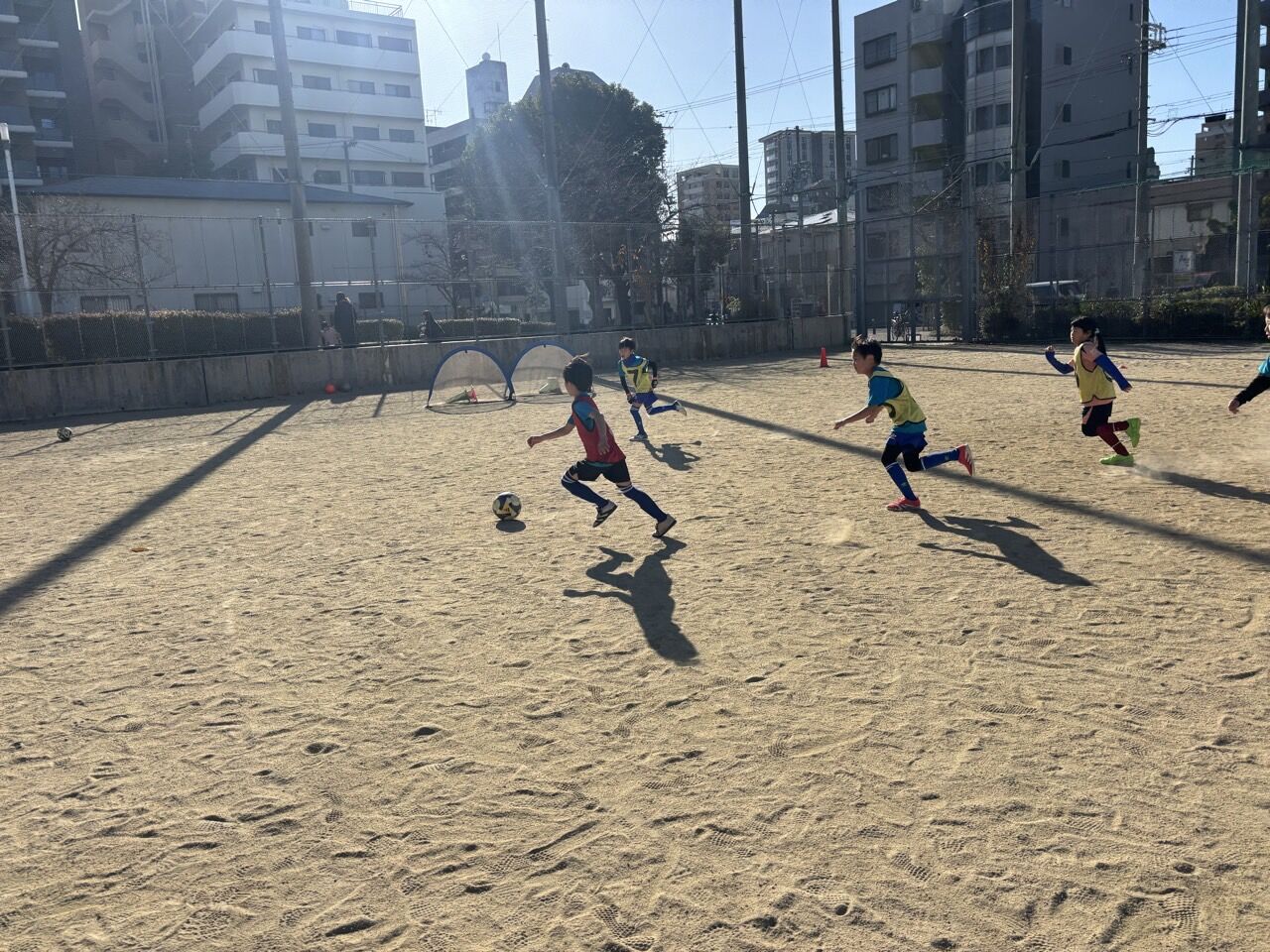 �ץ饤�ޥ꡼���顼FC-�ߥ˥��������2025ǯ12��13��-74138413440