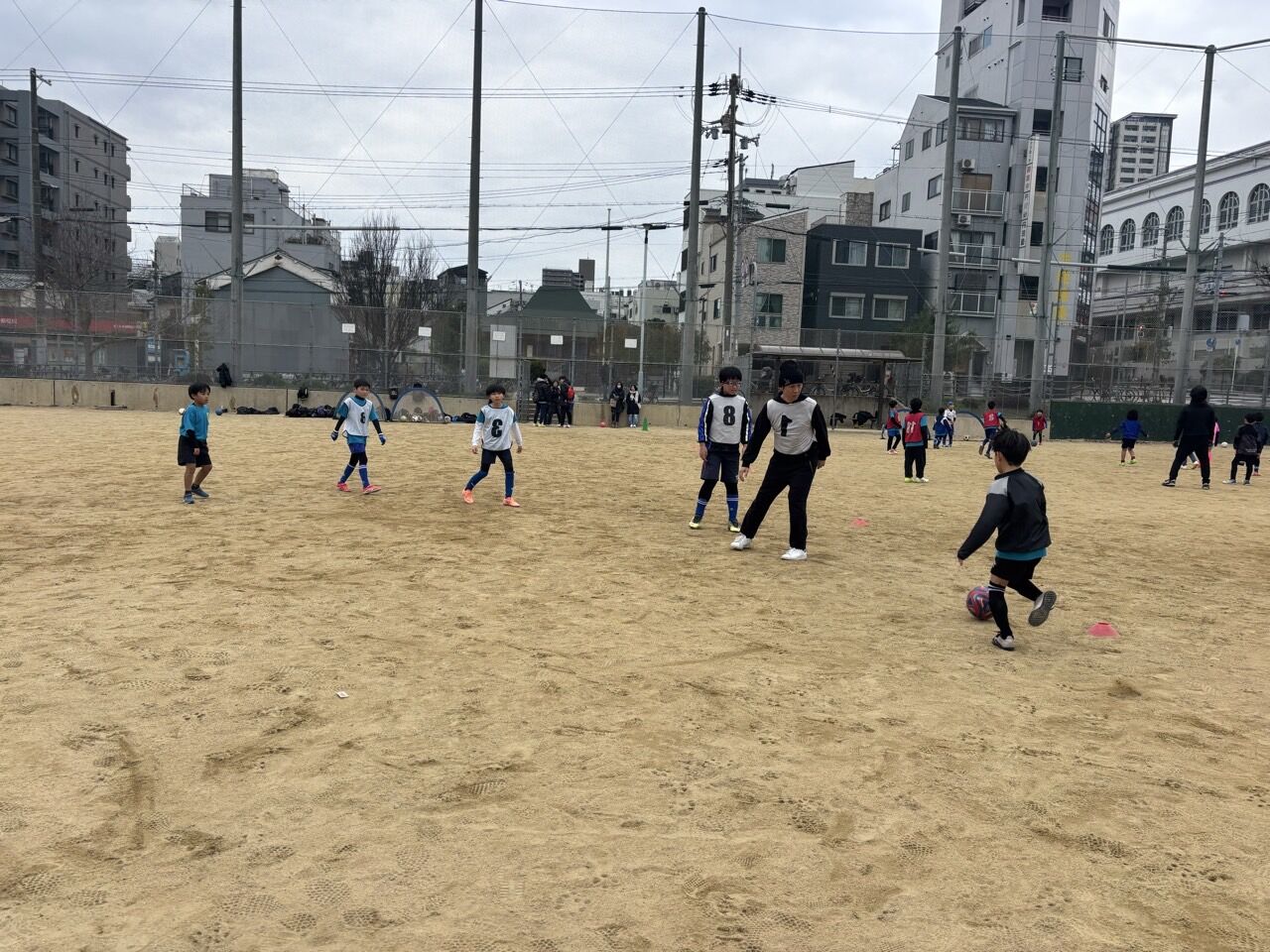 �ץ饤�ޥ꡼���顼FC-2026ǯ�齳��-74656758870