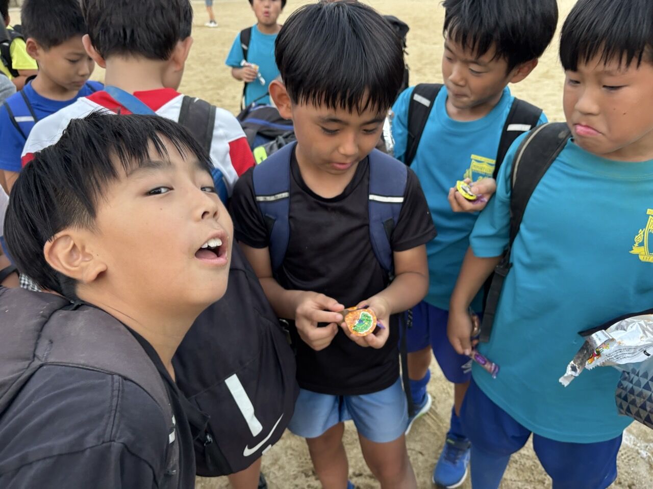 3_892Ud018svc12h5tuky3k1te_us7scg