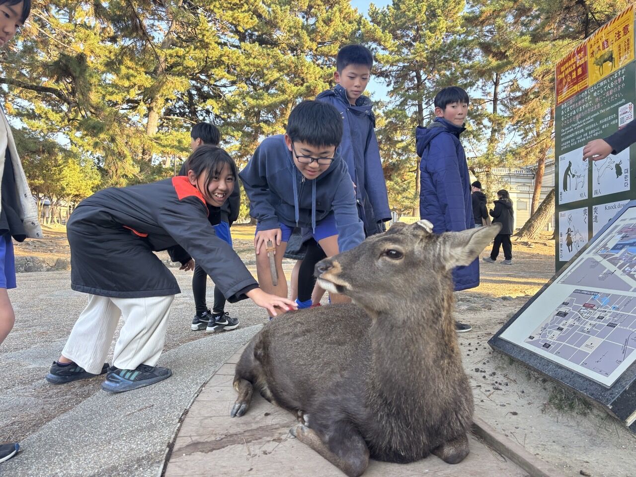 ¥×¥é¥¤¥Þ¥ê¡¼¥«¥é¡¼FC-¥¹¥Þ¥¤¥ë¥«¥Ã¥×2025ǯ12·î6Æü7Æü-73993070668