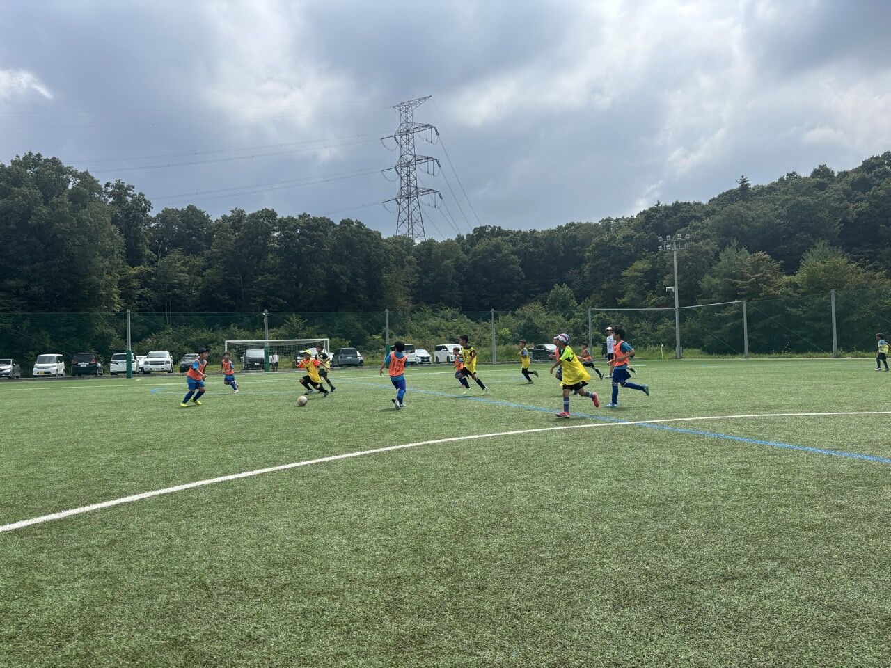 ץ饤ޥ꡼顼FC-ƹɭ2025ǯ82324-71412994801