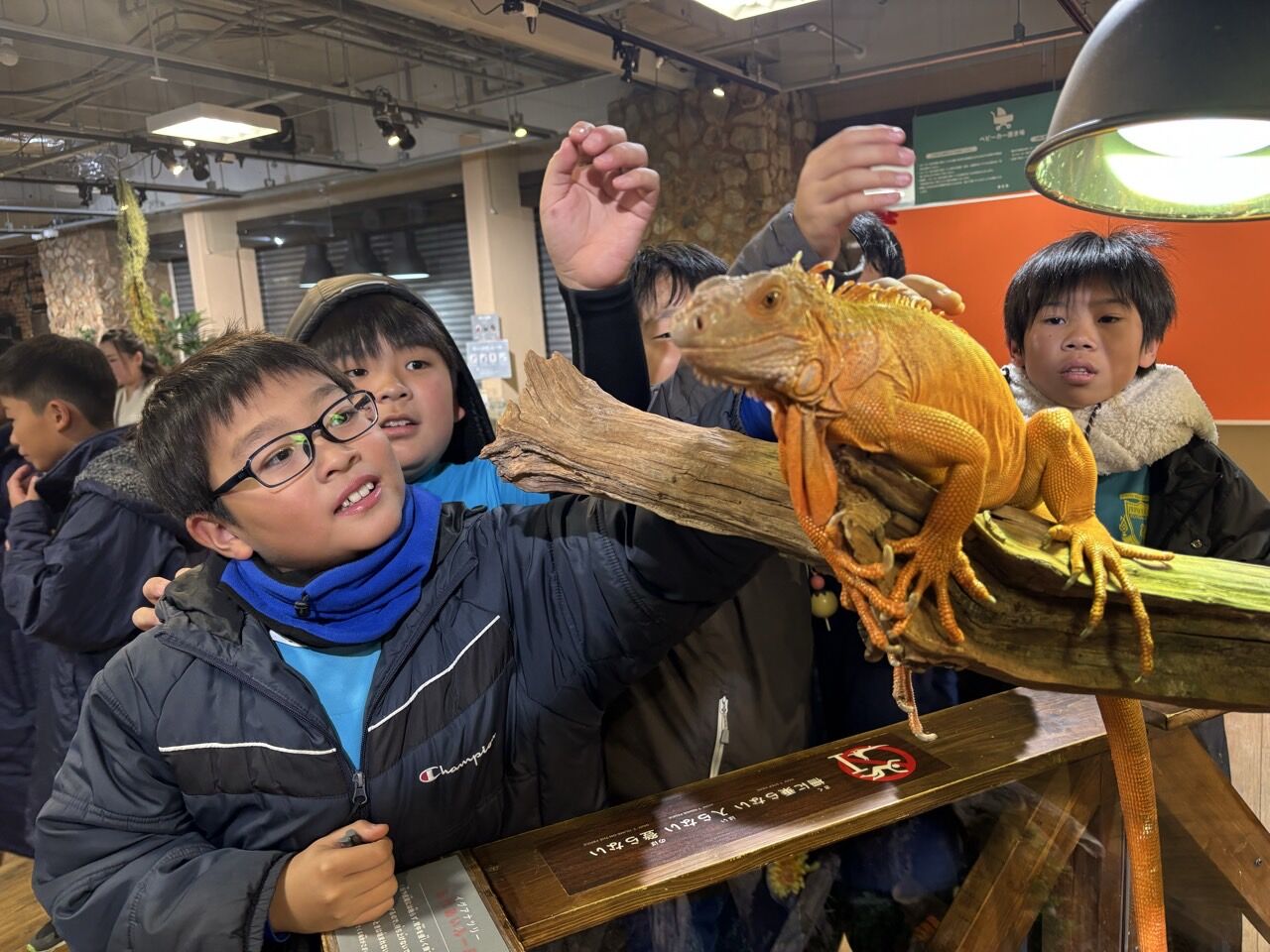 ¥×¥é¥¤¥Þ¥ê¡¼¥«¥é¡¼FC-¥¹¥Þ¥¤¥ë¥«¥Ã¥×2025ǯ12·î6Æü7Æü-73970590374 (1)