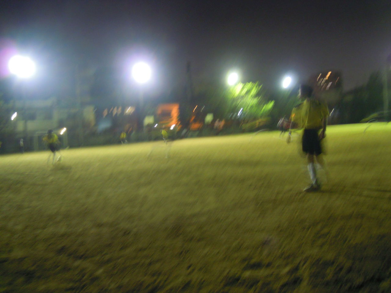 DSCN0317
