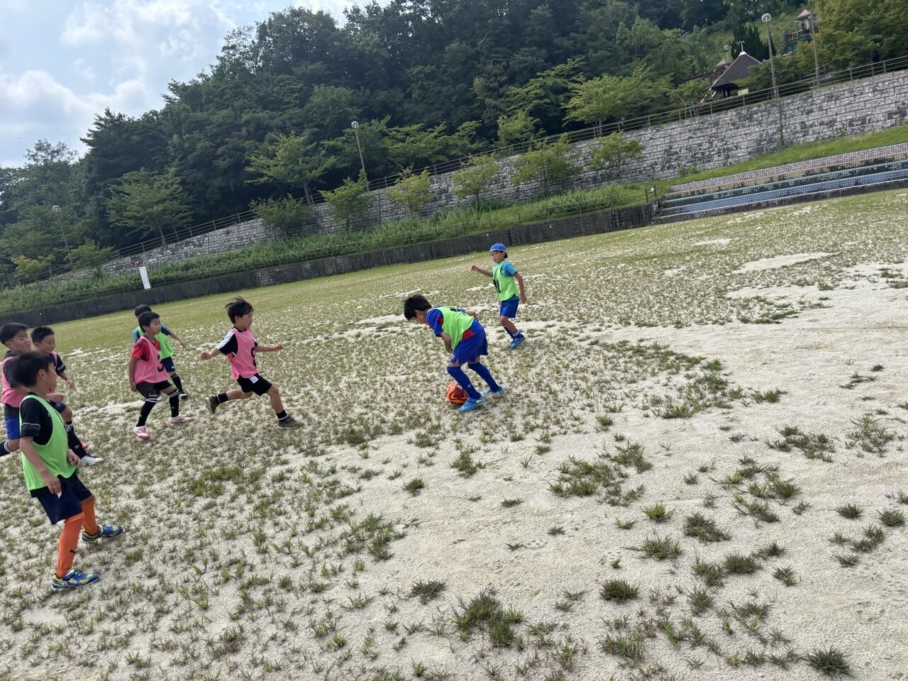 ץ饤ޥ꡼顼FC-ƹɭ2025ǯ82324-71433410594