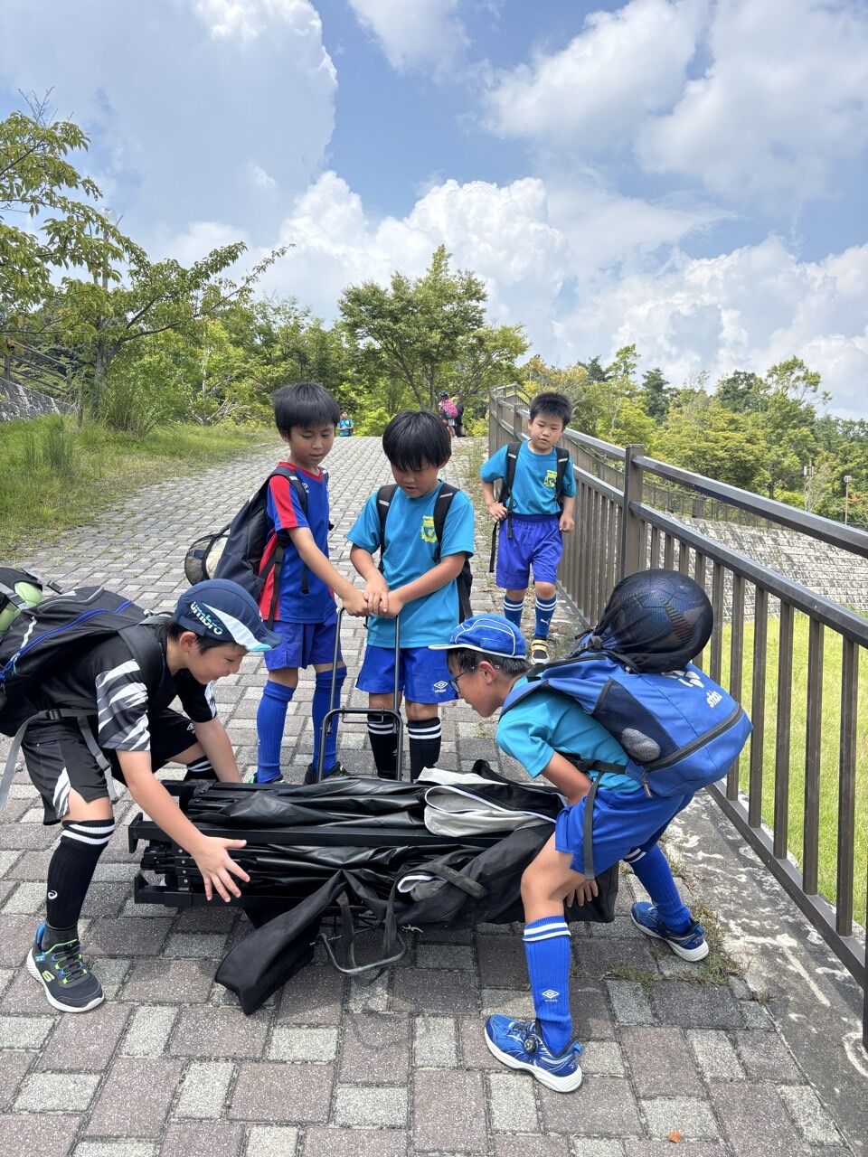 ץ饤ޥ꡼顼FC-ƹɭ2025ǯ82324-71433434951