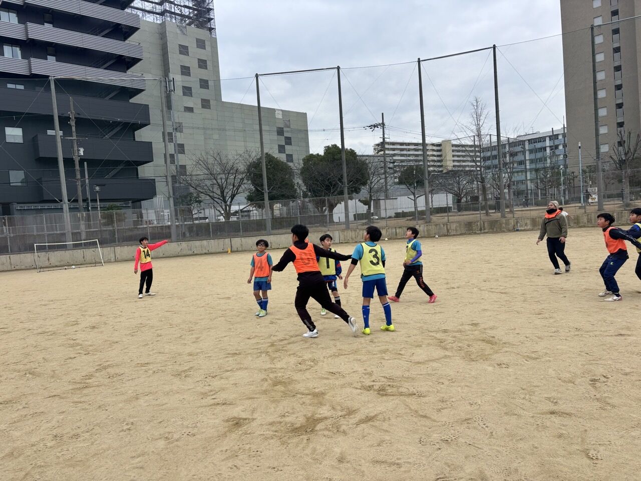 �ץ饤�ޥ꡼���顼FC-2026ǯ�齳��-74656758871