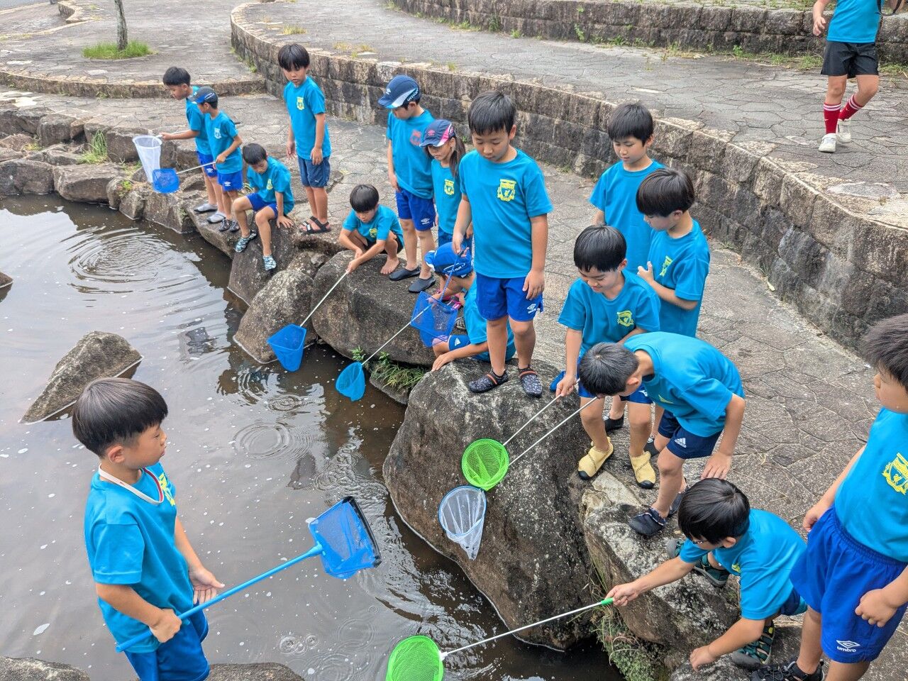 ץ饤ޥ꡼顼FC-ƹɭ2025ǯ82324-71408064069