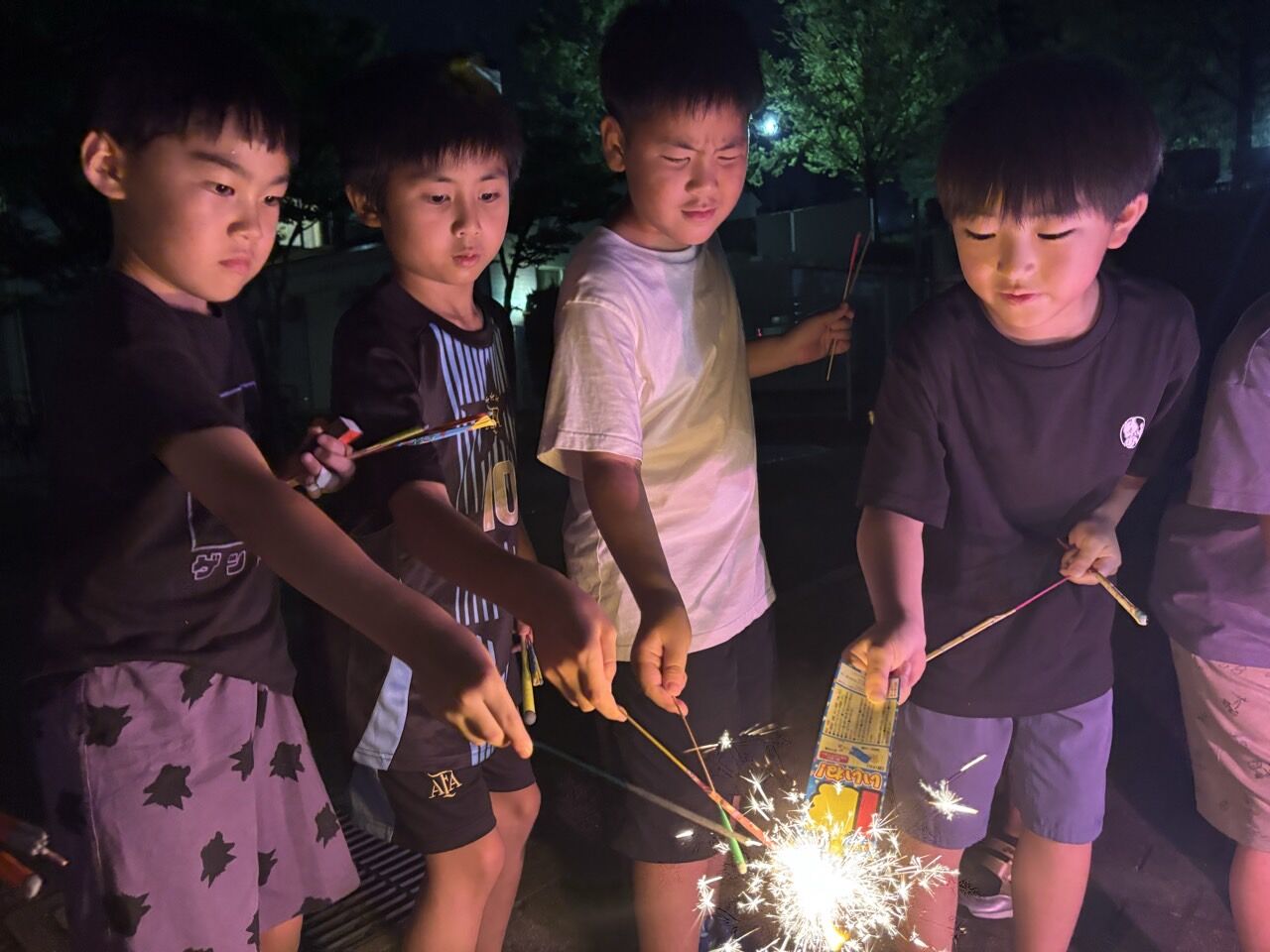 ץ饤ޥ꡼顼FC-ƹɭ2025ǯ82324-71421429572