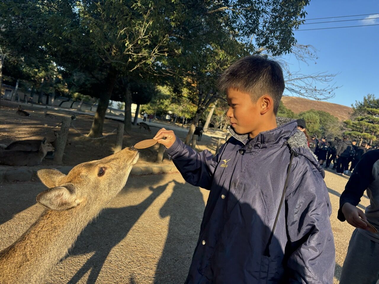 ¥×¥é¥¤¥Þ¥ê¡¼¥«¥é¡¼FC-¥¹¥Þ¥¤¥ë¥«¥Ã¥×2025ǯ12·î6Æü7Æü-73993532517