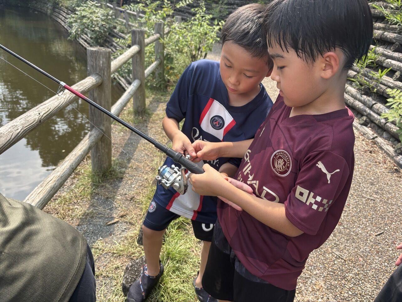 ץ饤ޥ꡼顼FC-ƹɭ2025ǯ82324-71436966628