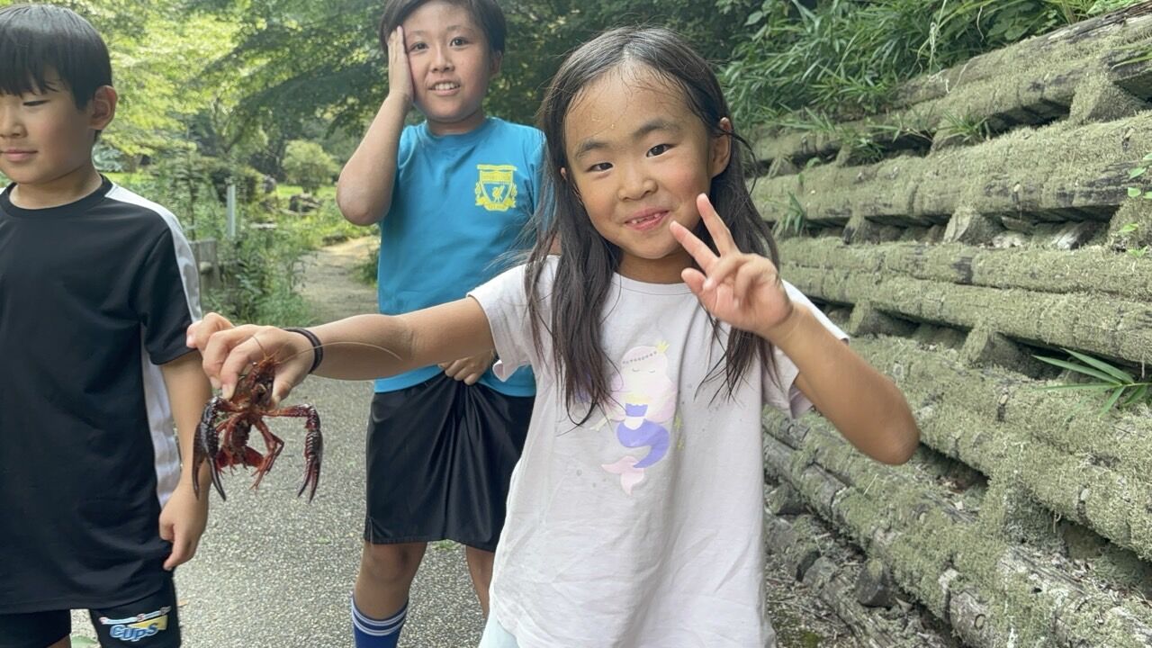 ץ饤ޥ꡼顼FC-ƹɭ2025ǯ82324-71436966634