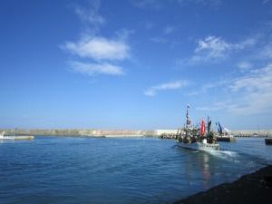 131204_07_IMG_0779_000