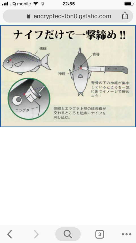 魚 痛いのはやめて 料理人 任せろ 魚 ふう 安堵 まるたろうの怖い心霊ブログ