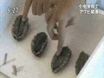 画像 とんでもないナマコが捕獲されてしまう まるたろうの怖い心霊ブログ 画像 とんでもないナマコが捕獲されてしまう まるたろうの怖い心霊ブログ