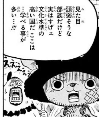 チョッパー 懸賞金100ベリー 自称医者だけど手術できない 学がない 戦闘ゴミ こいつ まるたろうの怖い心霊ブログ