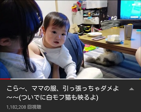 速報 大物youtuberさん 誹謗中傷に一言物申す まるたろうの怖い心霊ブログ