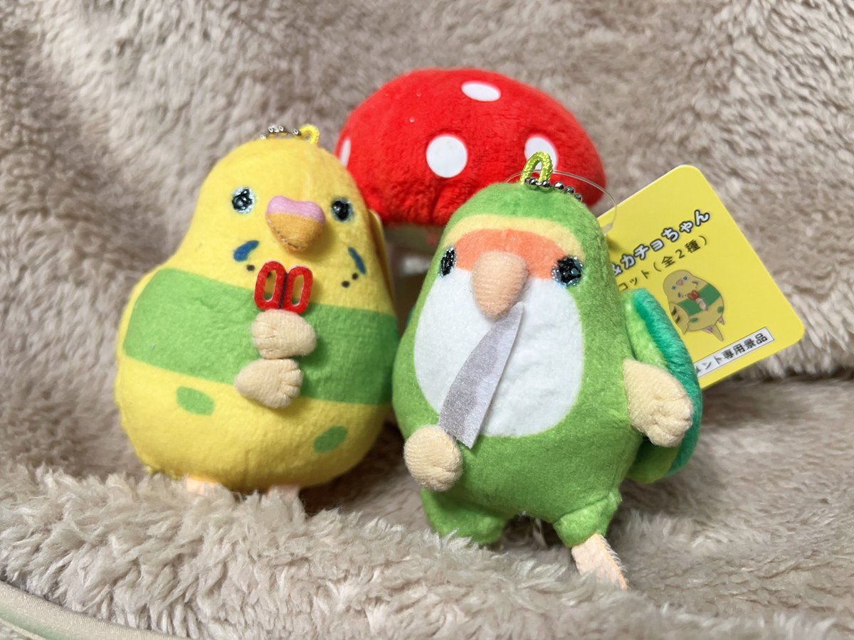 号外?ゴルカチョのマスコットぬいぐるみが出るぞー！！? : えるポピ 