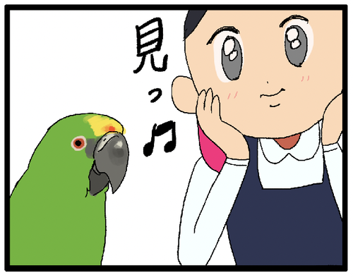Amazon | owl yorozu 止まり木 インコ 鳥 文鳥 おもちゃ パーチ