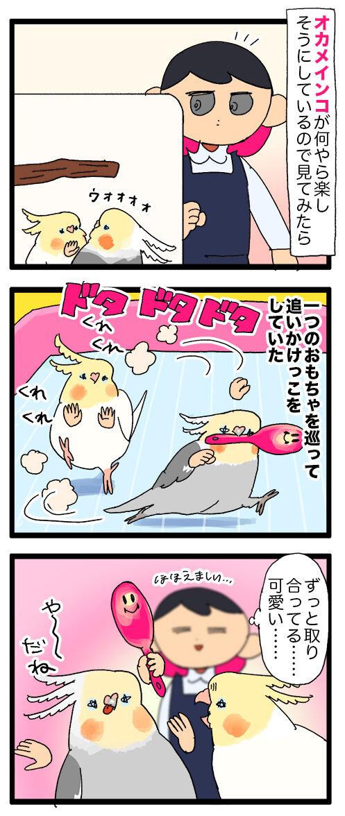 インコ(オウム)に同じおもちゃをもう一つプレゼントしてみたら