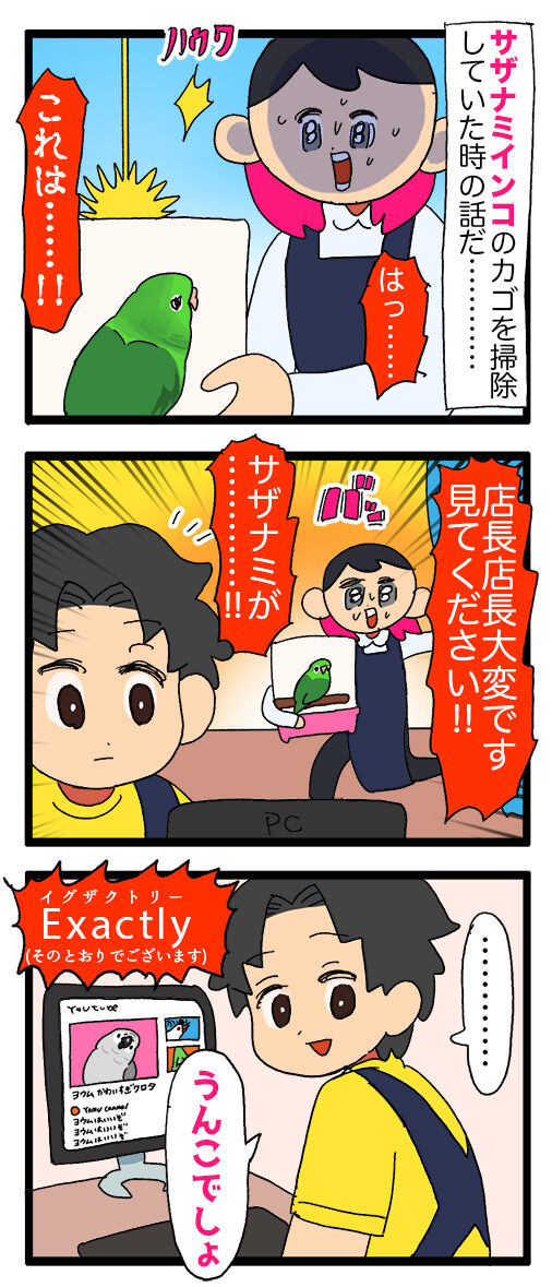 新年早々縁起のいいものを見た！ : えるポピ・ハッピーオタクライフ