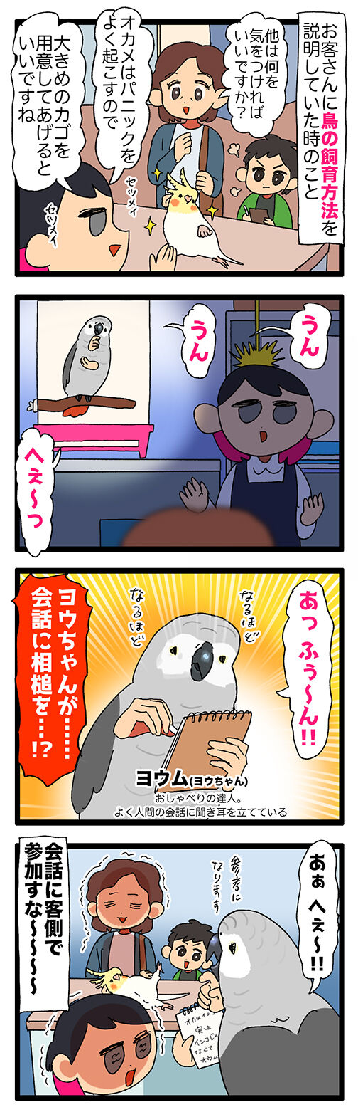 インコ お客さんとの会話に勝手にナチュラルに入ってくる えるポピ ハッピーオタクライフ Powered By ライブドアブログ