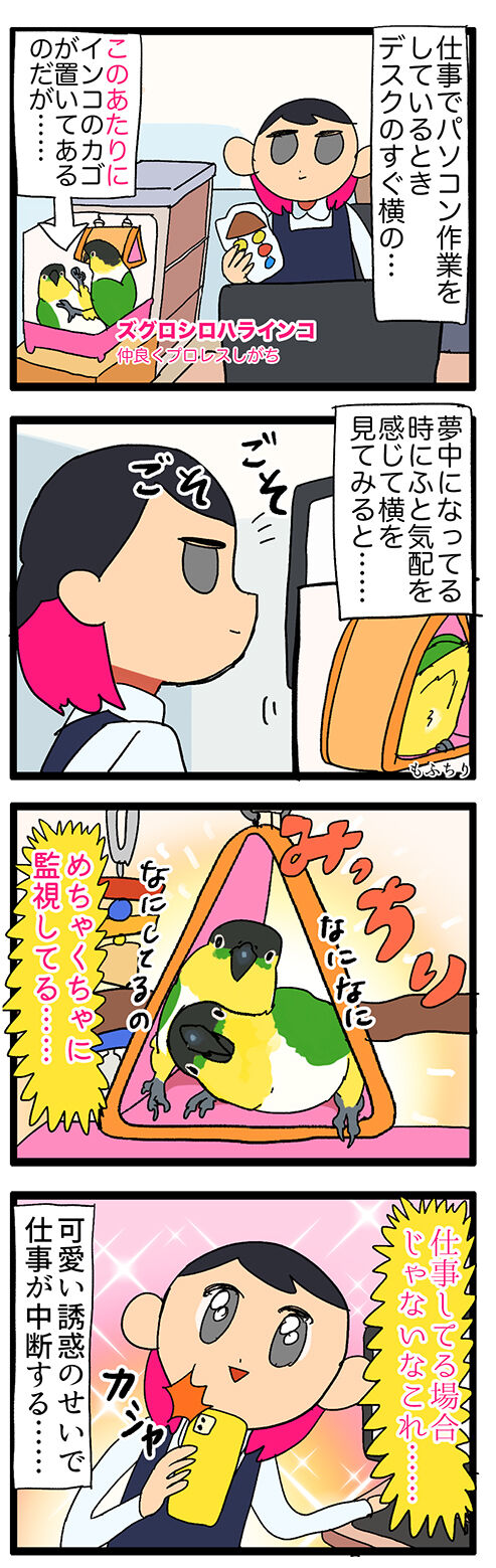 鳥の構って誘惑に勝てないペットショップ店員 えるポピ ハッピーオタクライフ Powered By ライブドアブログ