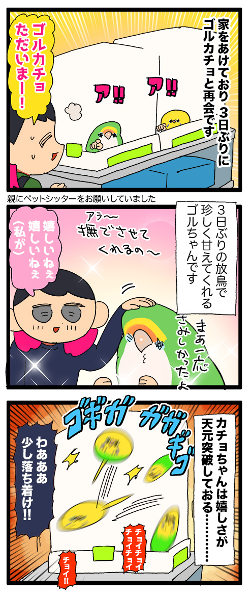 切り替えが早すぎるよ ゴルカチョちゃん : えるポピ・ハッピーオタク 