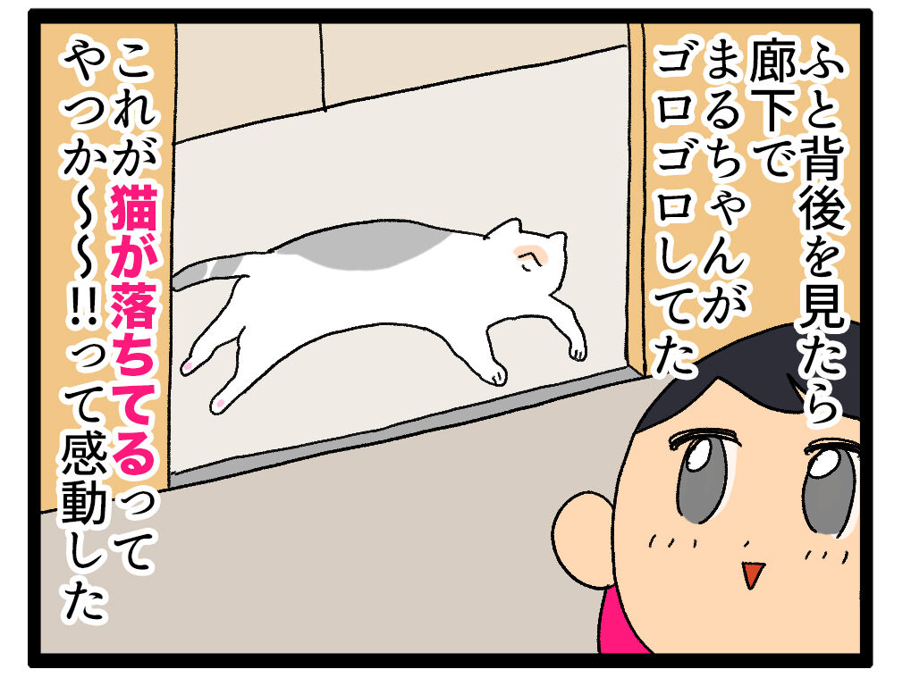 普段あんまり猫と触れ合わないのでカルチャーショックを受けた えるポピ ハッピーオタクライフ Powered By ライブドアブログ 普段あんまり猫と触れ合わないのでカルチャーショックを受けた えるポピ ハッピーオタクライフ Powered By ライブドアブログ