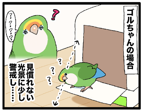 のろけ日記】新居でのゴルちゃんの様子 : えるポピ・ハッピーオタク