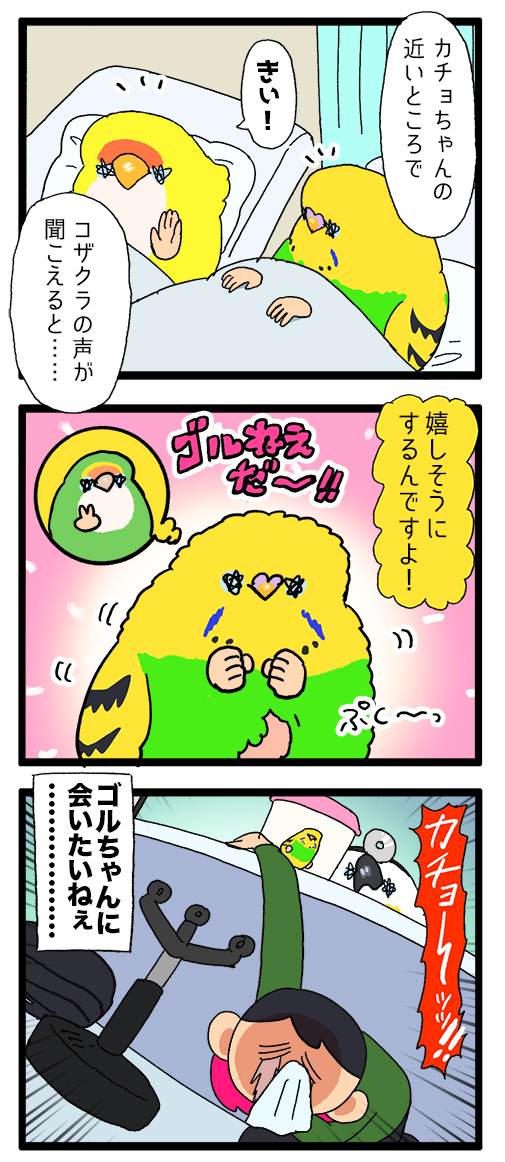 入院中】カチョちゃん、ゴル姉を想う━━ : えるポピ・ハッピーオタク 