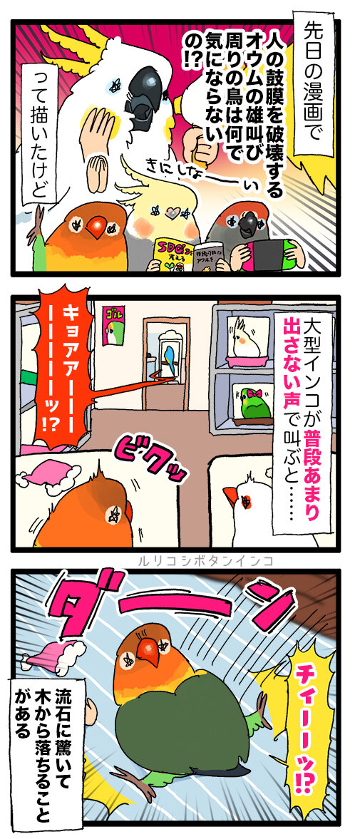 インコ達も他の鳥の声にめちゃくちゃ驚いてる : えるポピ