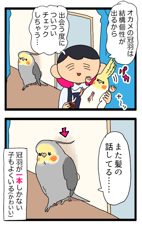 鳥さんカップル＋ウサギさん親子 4点おまとめ割引