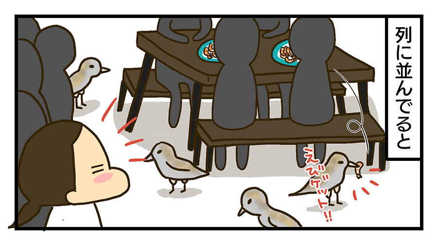 列に並んでいると、鳥がテーブルから落ちたエビをゲット