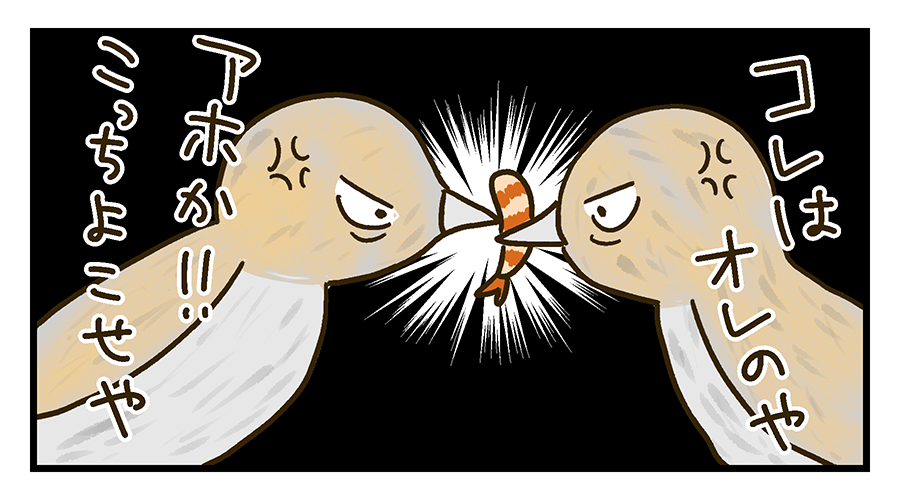 エビを取り合う鳥