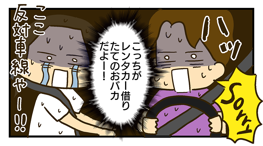 自分たちが反対車線を走っていることに気がつく