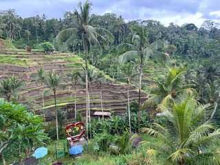 2025_01_23_09_35_41_261_15