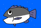 BlogPaint