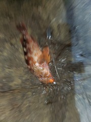 20220824_052129
