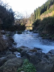 image6