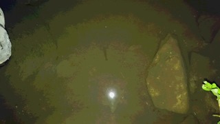 佐藤1