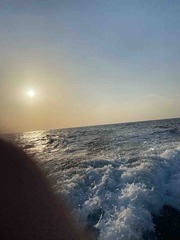 IMG_0970